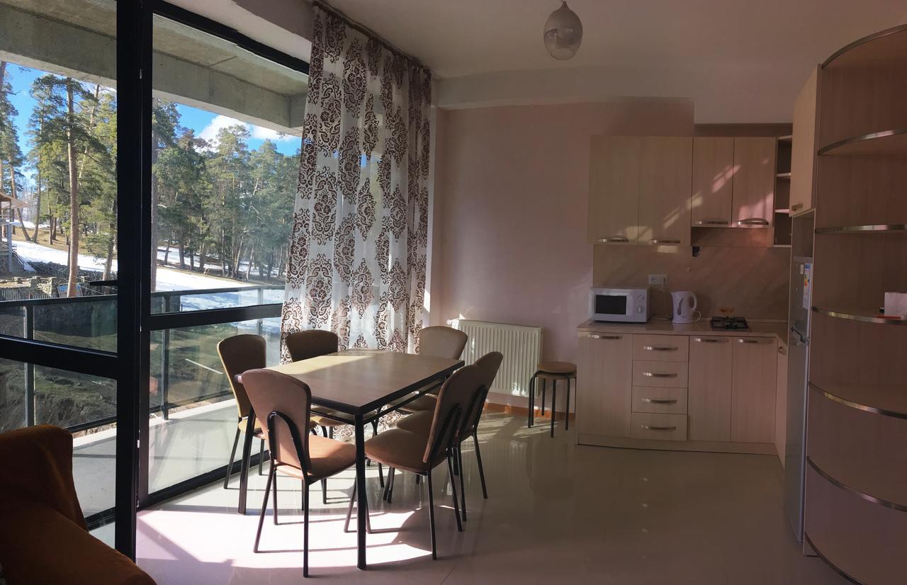 Apart 516 Bobline Bakuriani Dış mekan fotoğraf